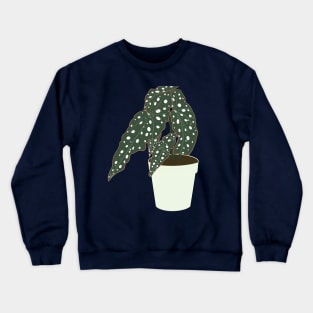 Begonia Maculata Plant – Mint Pot Crewneck Sweatshirt